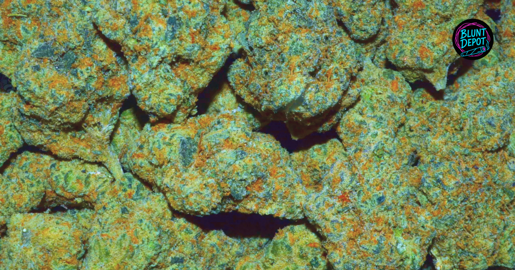 THCA delivery in Forest Hill