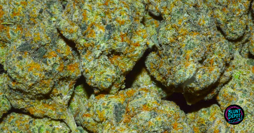 THCA pre-roll delivery in Forest Hill