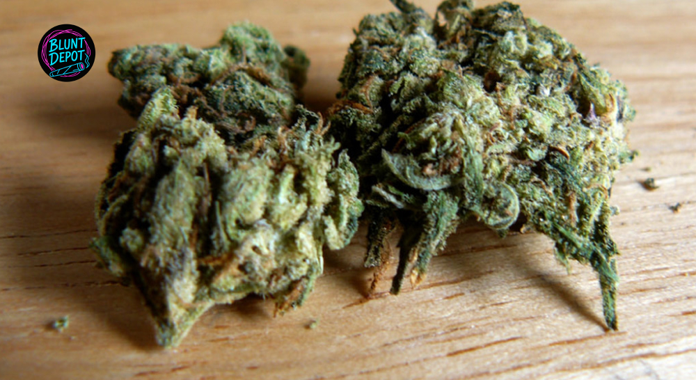 Dried Cannabis Flower Buds On Natural Wood