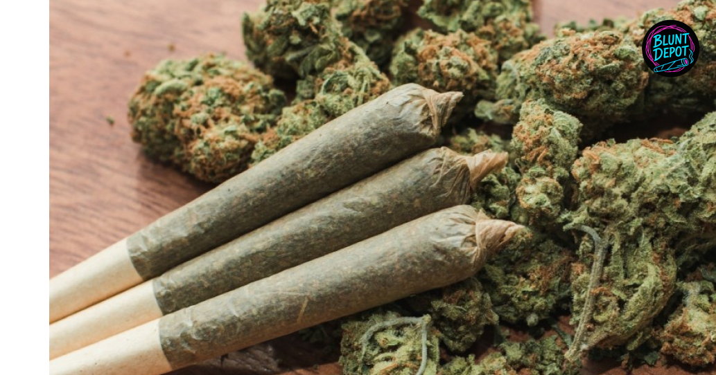 Expertly Crafted Pre Rolls