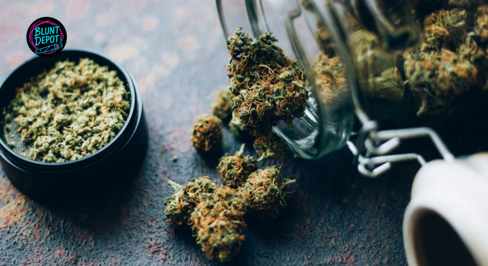 Fresh Grind Glass Stash