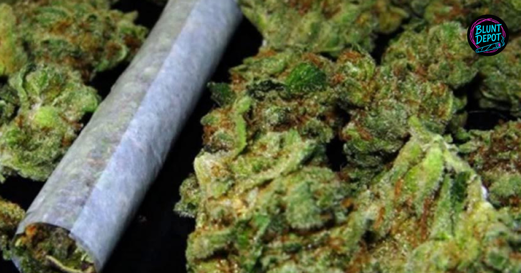 Freshly Rolled Joint And Premium Cannabis Flower