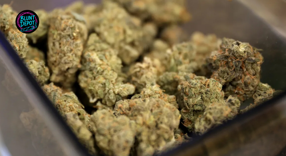 Macro View Of Dense Trichome Rich Cannabis Flower