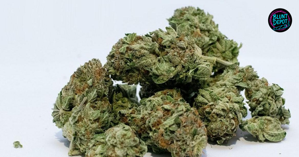 Manicured Flower Pile