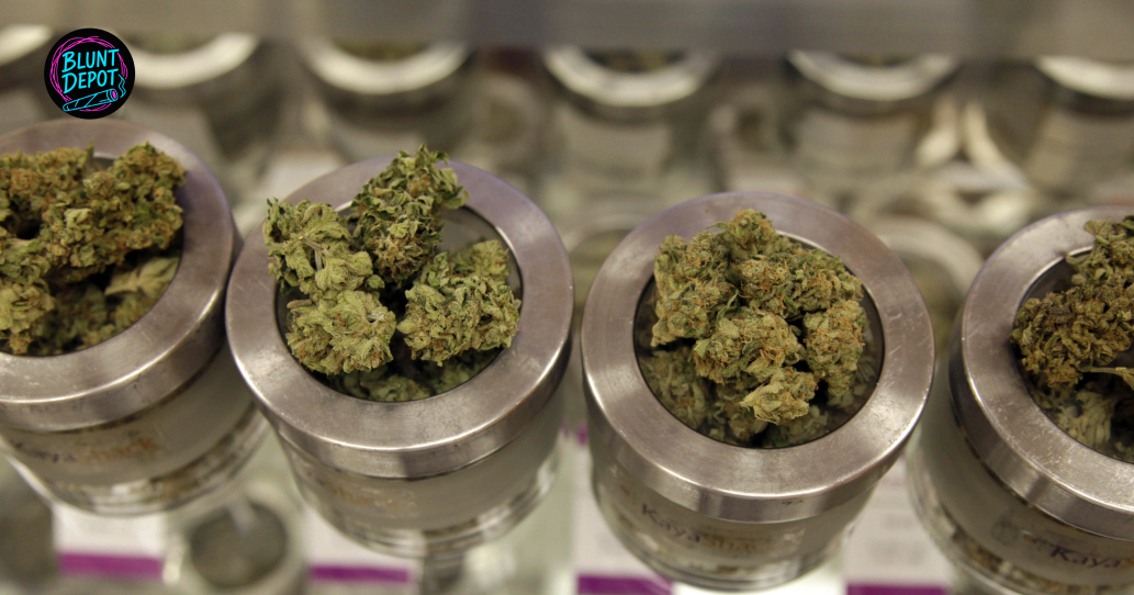 Overhead View Of Diverse Cannabis Strains In Jars