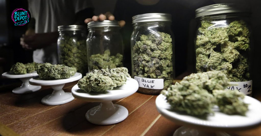 Premium Thca Flower Selection