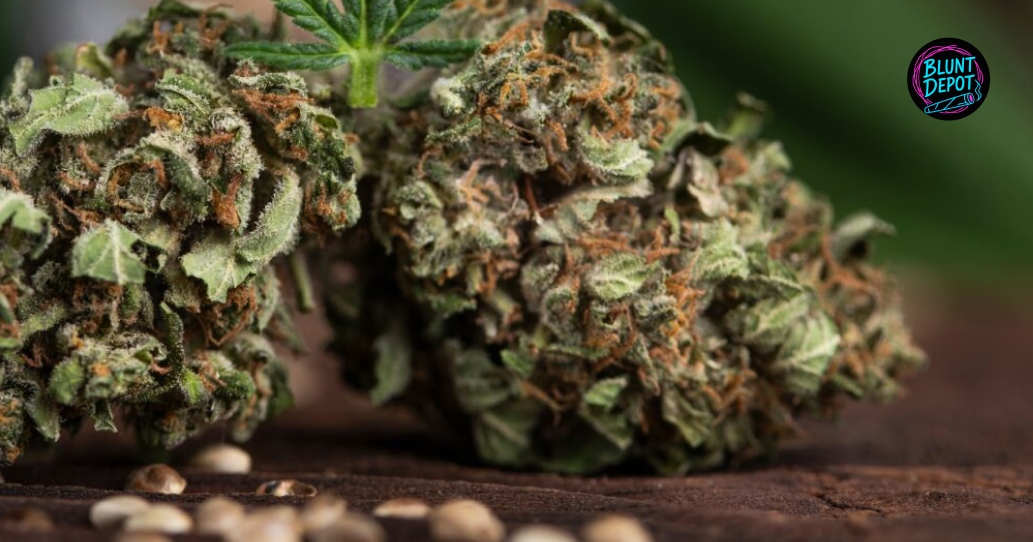 THCA delivery in Jourdanton illustrated cannabis bud and products