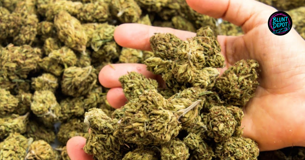 The Art Of The Bulk Harvest