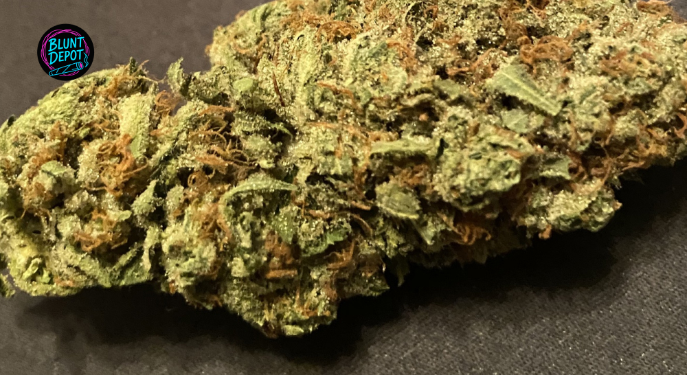 Up Close With The Trichomes