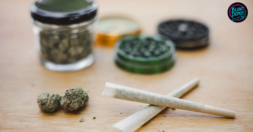 A close-up of healthy, bright green cannabis leaves with serrated edges.