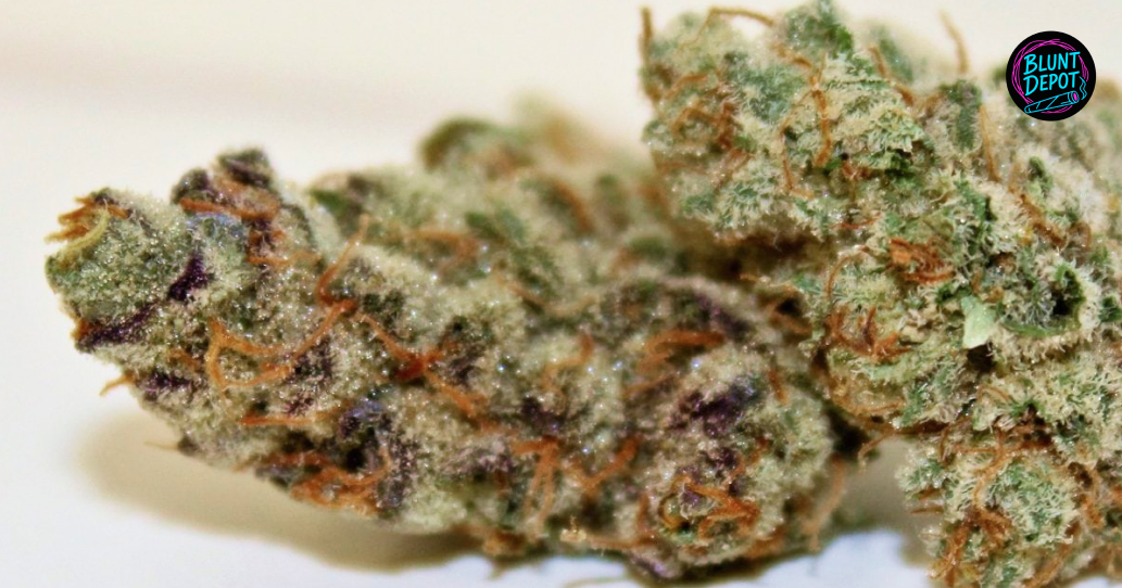 A premium jar of Biscotti weed next to a smartphone showing a delivery app.