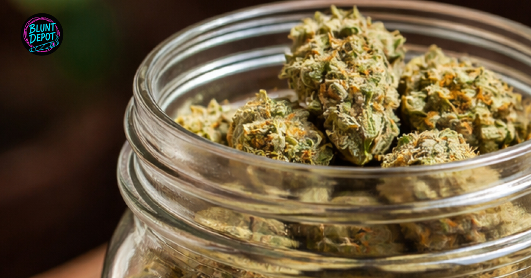 Acapulco Gold THCA cannabis buds close-up