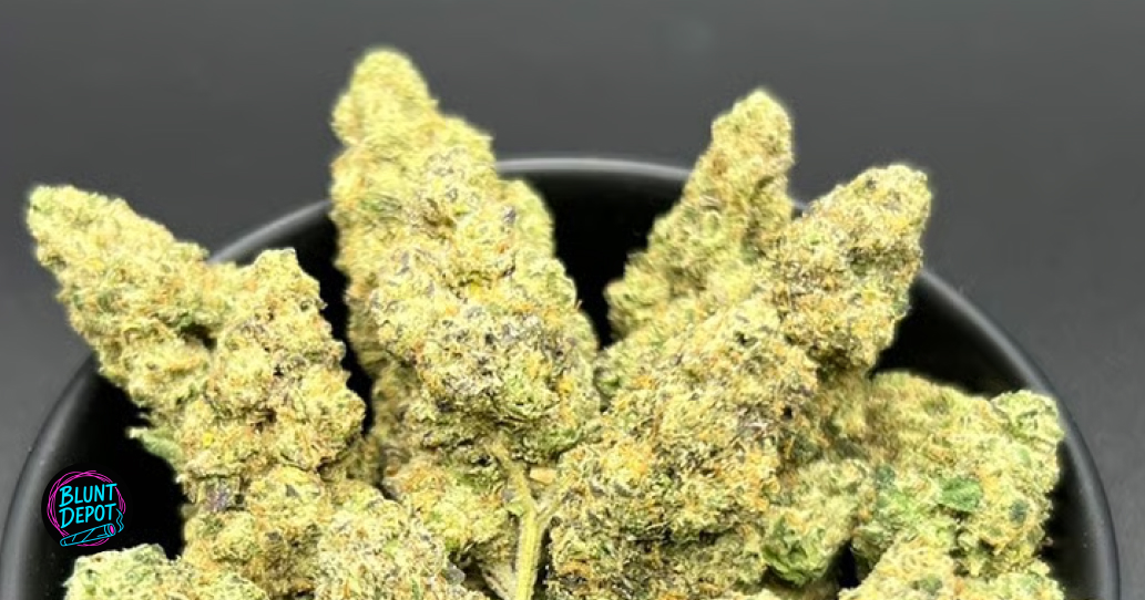 Large, frosty Animal Runtz bud representing top-shelf dispensary quality.