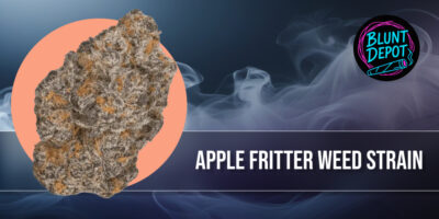 Dense Apple Fritter cannabis bud with chunky calyxes and bright orange hairs.