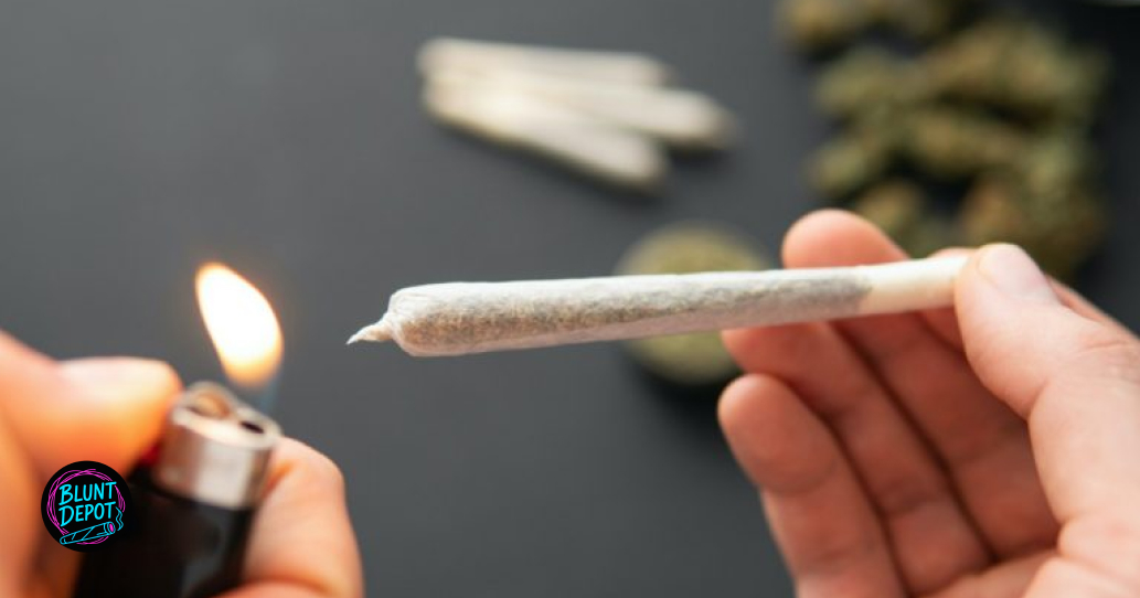 A group of several Banjo buds displaying a mix of lime green and violet hues.