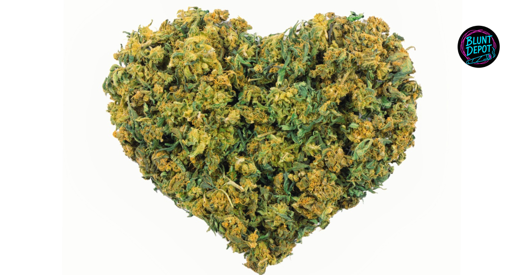 Vibrant purple cannabis flower available for same-day delivery in Glen Cove.