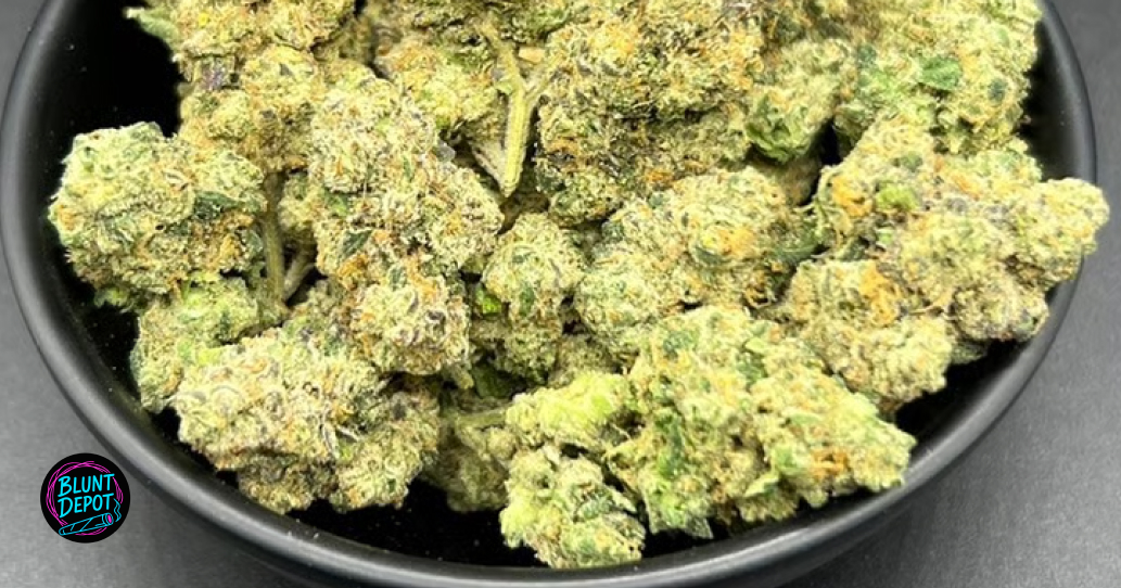 A collection of colorful cannabis buds showing high-quality trimming for Fulton residents.