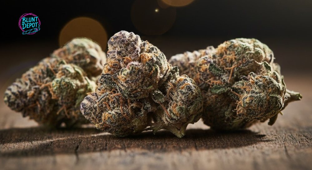 Blackberry Sour weed strain effects and usage