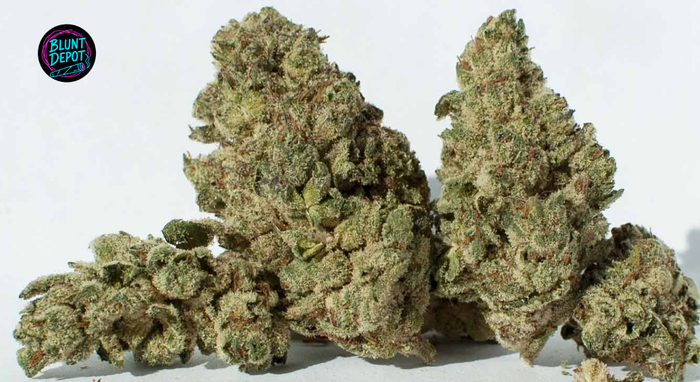 Blunt Depot Top Shelf Green Flower