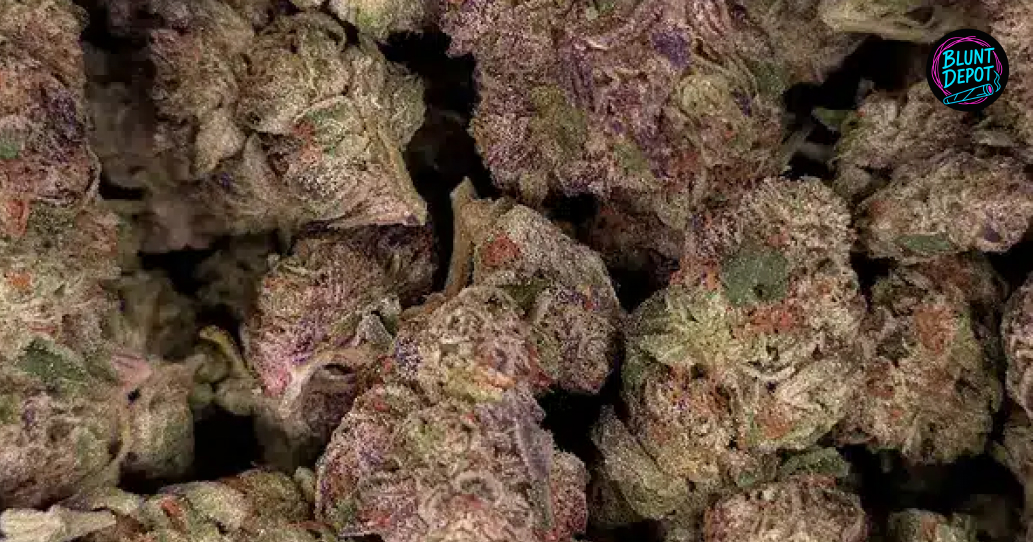 Premium Archive Runtz buds featuring deep purple hues and heavy frost coverage.