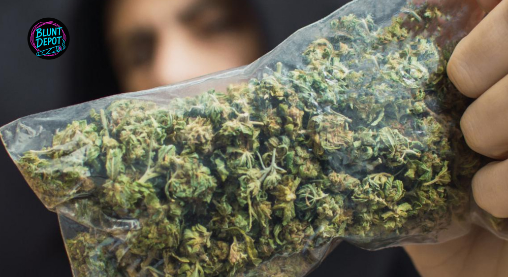 Weed delivery in Glen Cove