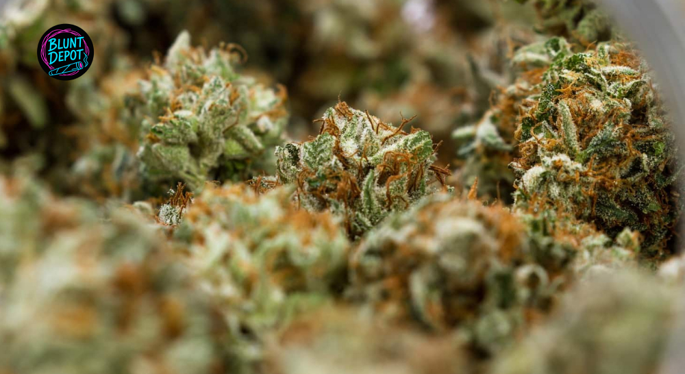 Weed delivery in Hudson