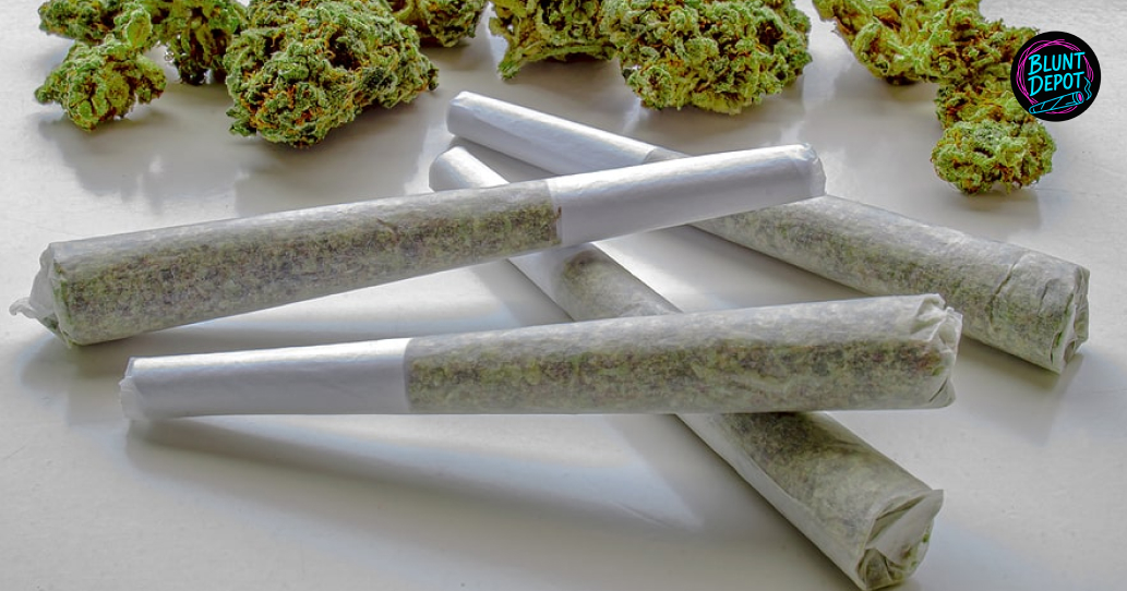 Hand holding a variety of cannabis pre-rolls with flower buds in the background.