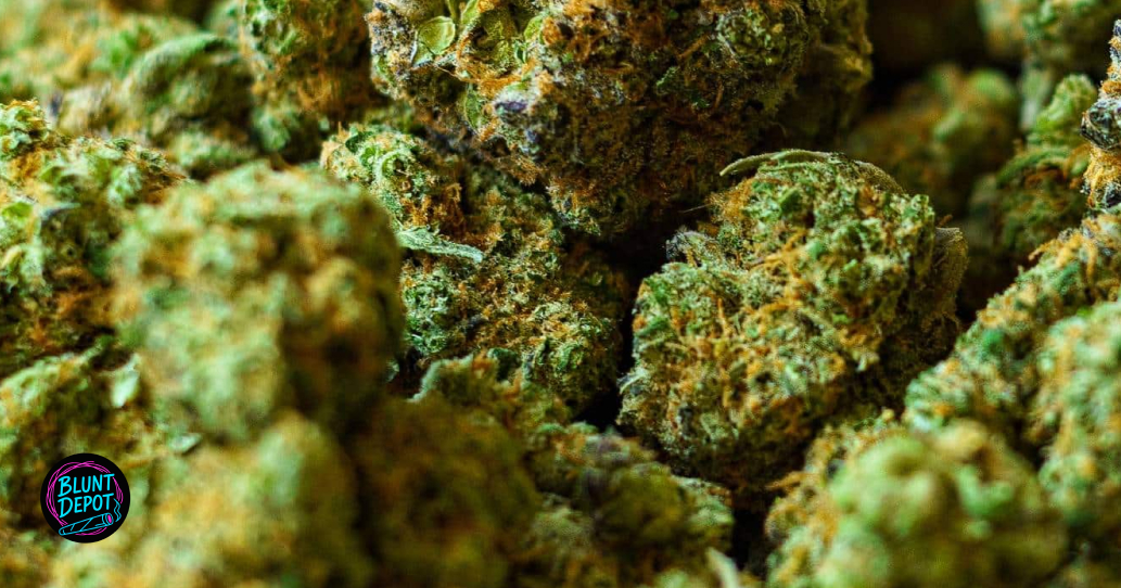 Large frosty cannabis bud representing licensed delivery services in the Hudson area.