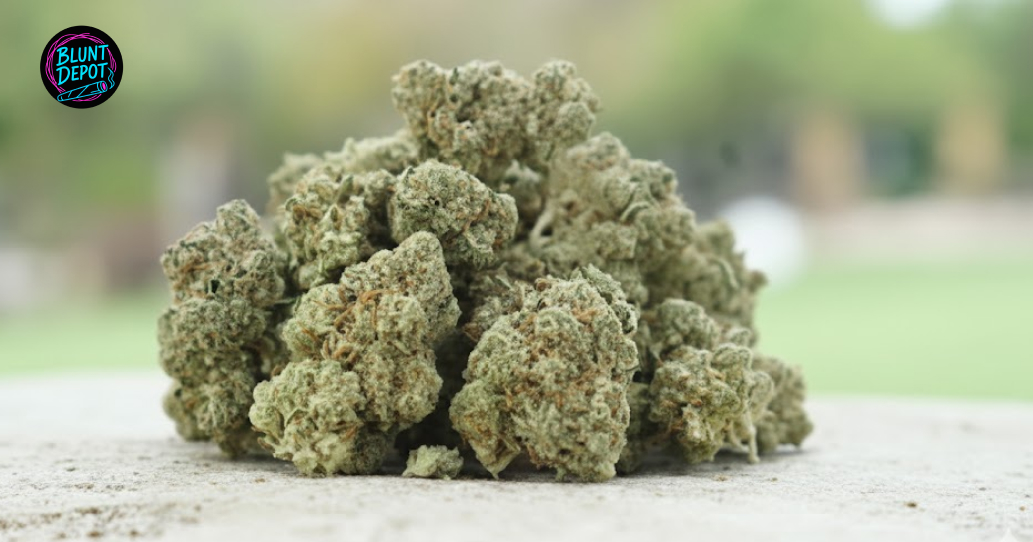 Cannabis buds available for weed delivery in New Rochelle New York