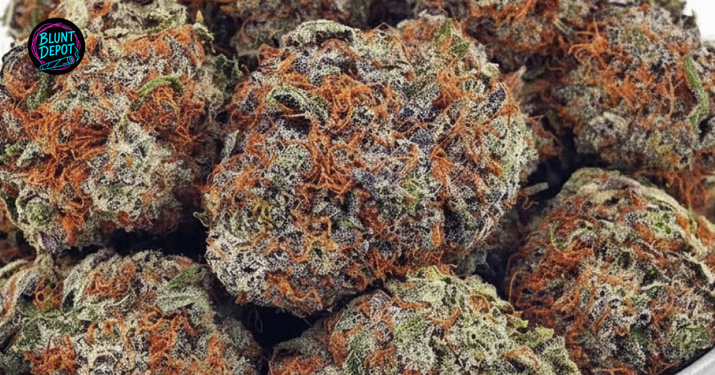 Premium cannabis flower in Plainview Texas