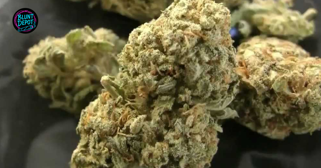 Premium Thca Flower Bud