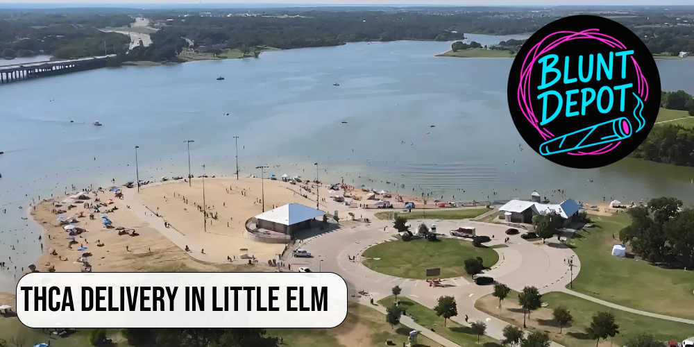 City view of Little Elm Texas with THCA delivery services available