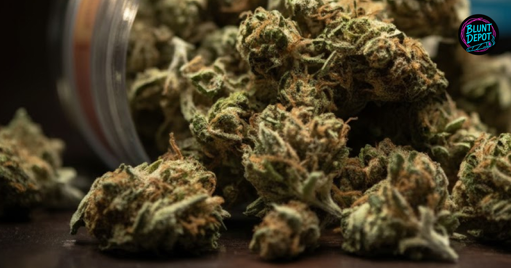 THCA product delivery service operating in Salamanca New York