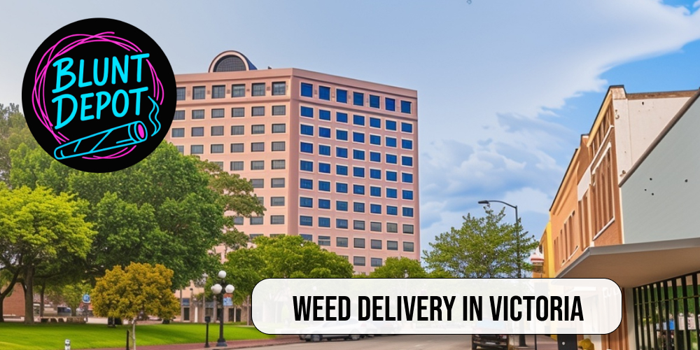 Close-up of premium cannabis flower available in Victoria