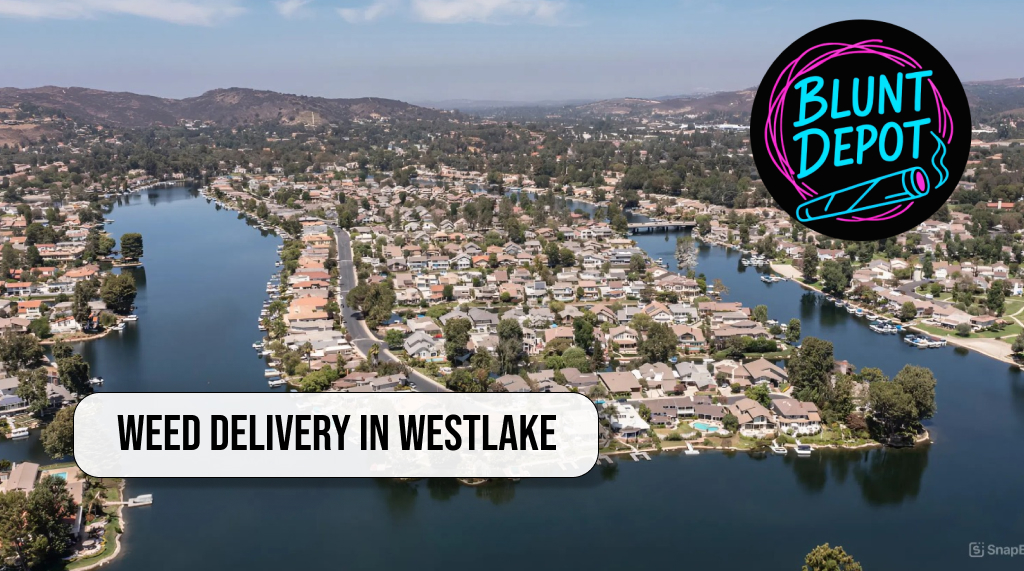 Close-up of premium cannabis flower available in Westlake