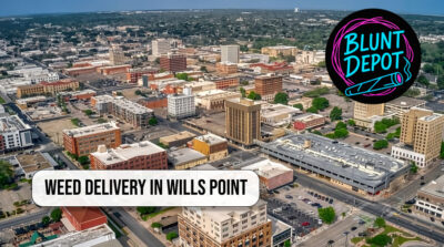 Close-up of premium cannabis flower in Wills Point