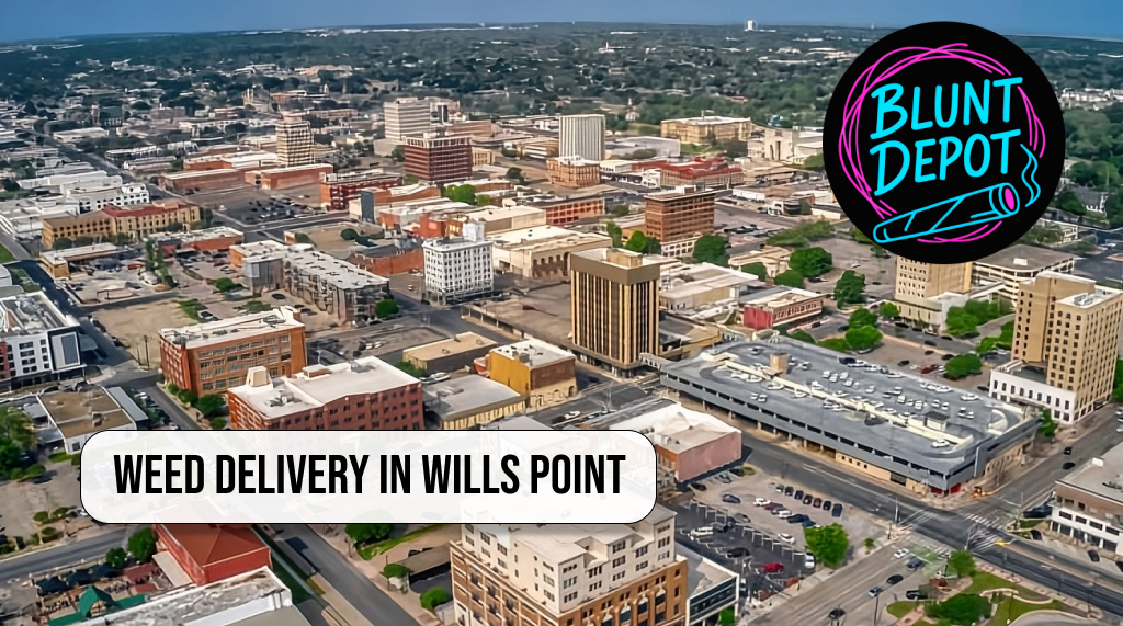 Close-up of premium cannabis flower in Wills Point