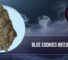 Professional banner for Blue Cookies weed strain featuring a dense premium cannabis bud against a smokey background.