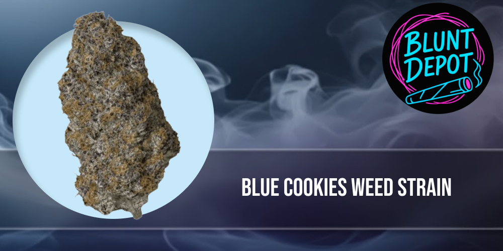 Professional banner for Blue Cookies weed strain featuring a dense premium cannabis bud against a smokey background.