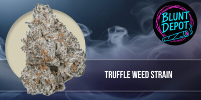 A high-contrast graphic overlay featuring the Truffle weed strain title over a residential California neighborhood.