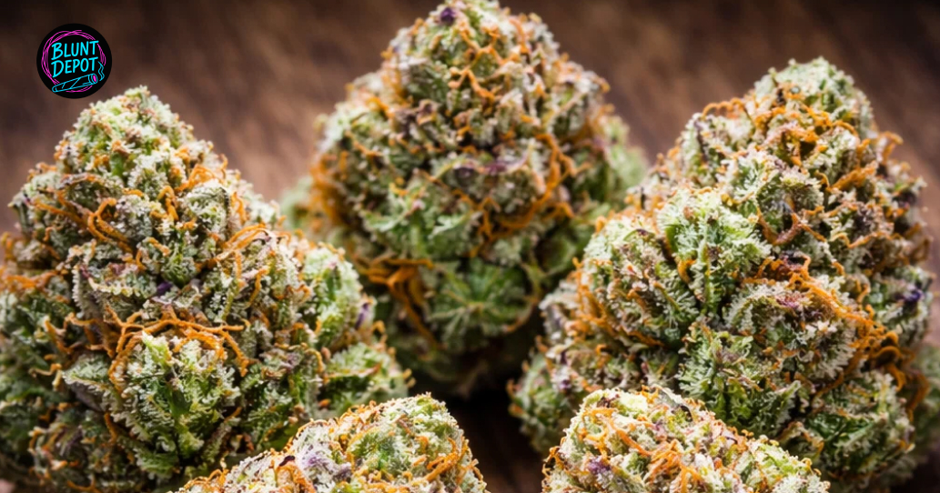 A lifestyle presentation of ground Mac 1 weed strain flower in a wooden bowl with professional glass jar storage.