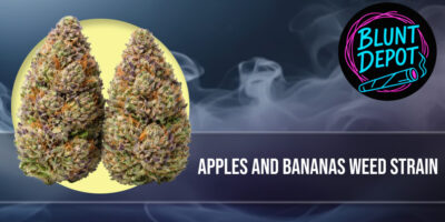 Macro shot of Apples and Bananas weed strain premium buds with visible trichomes