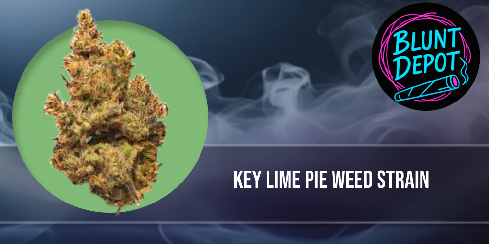 Top shelf Key Lime Pie weed strain buds displayed on a wooden surface with a scoop of vanilla ice cream.