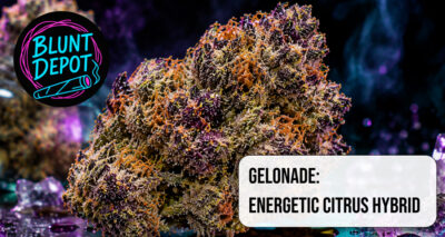 Gelonade Energetic Citrus Hybrid