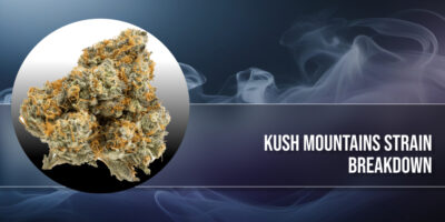 Kush Mountains Strain Breakdown