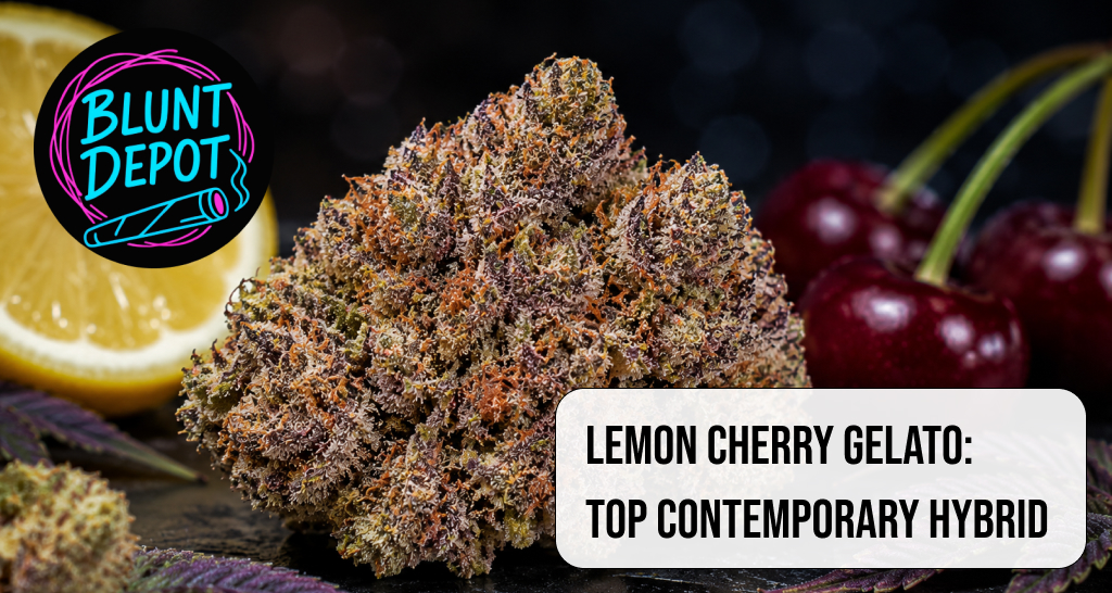 Lemon Cherry Gelato Top Contemporary Hybrid